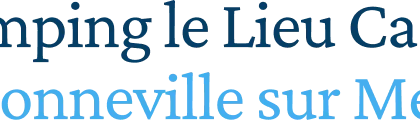 logo lieu castel